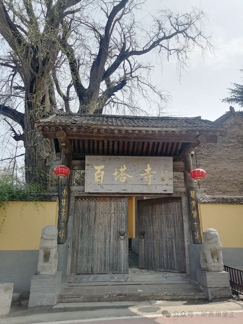 小五台和周边古树