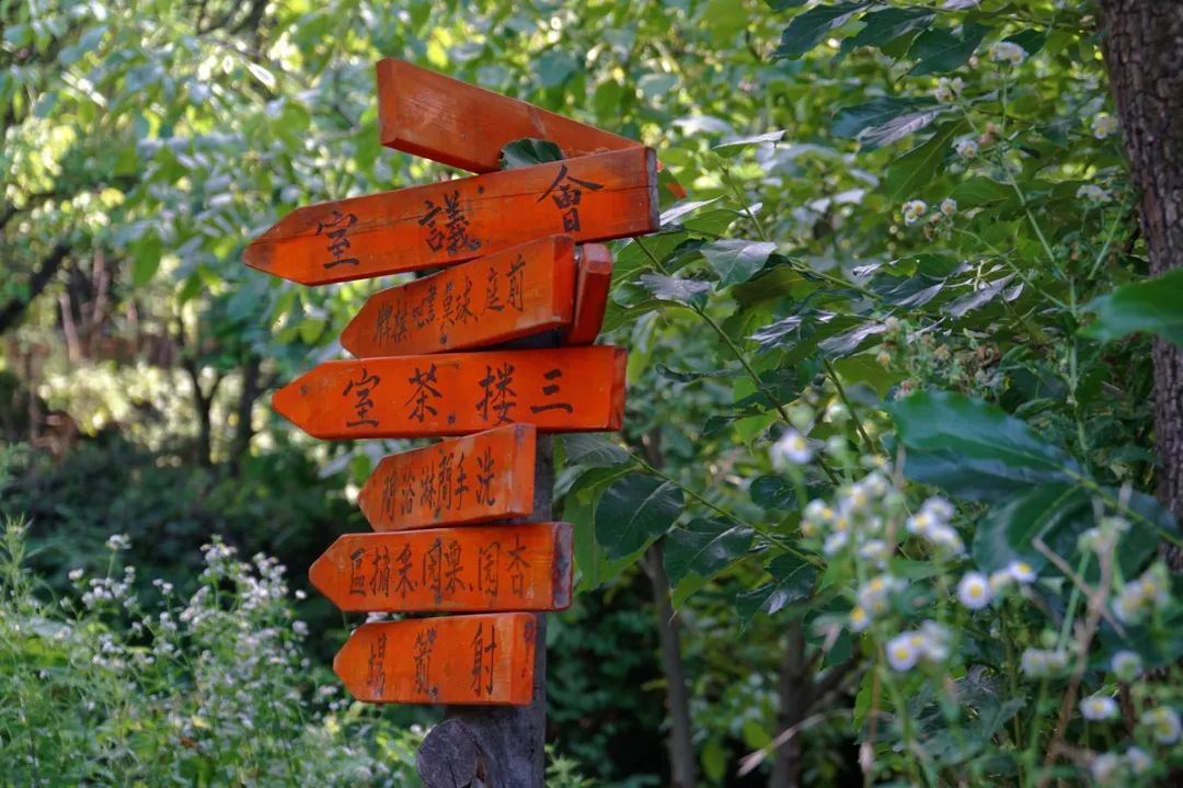 小院一角