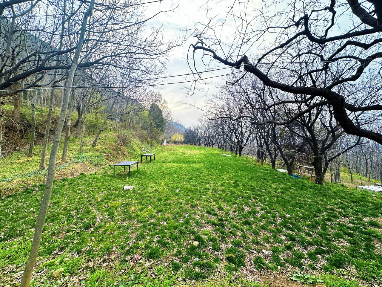 团建草坪